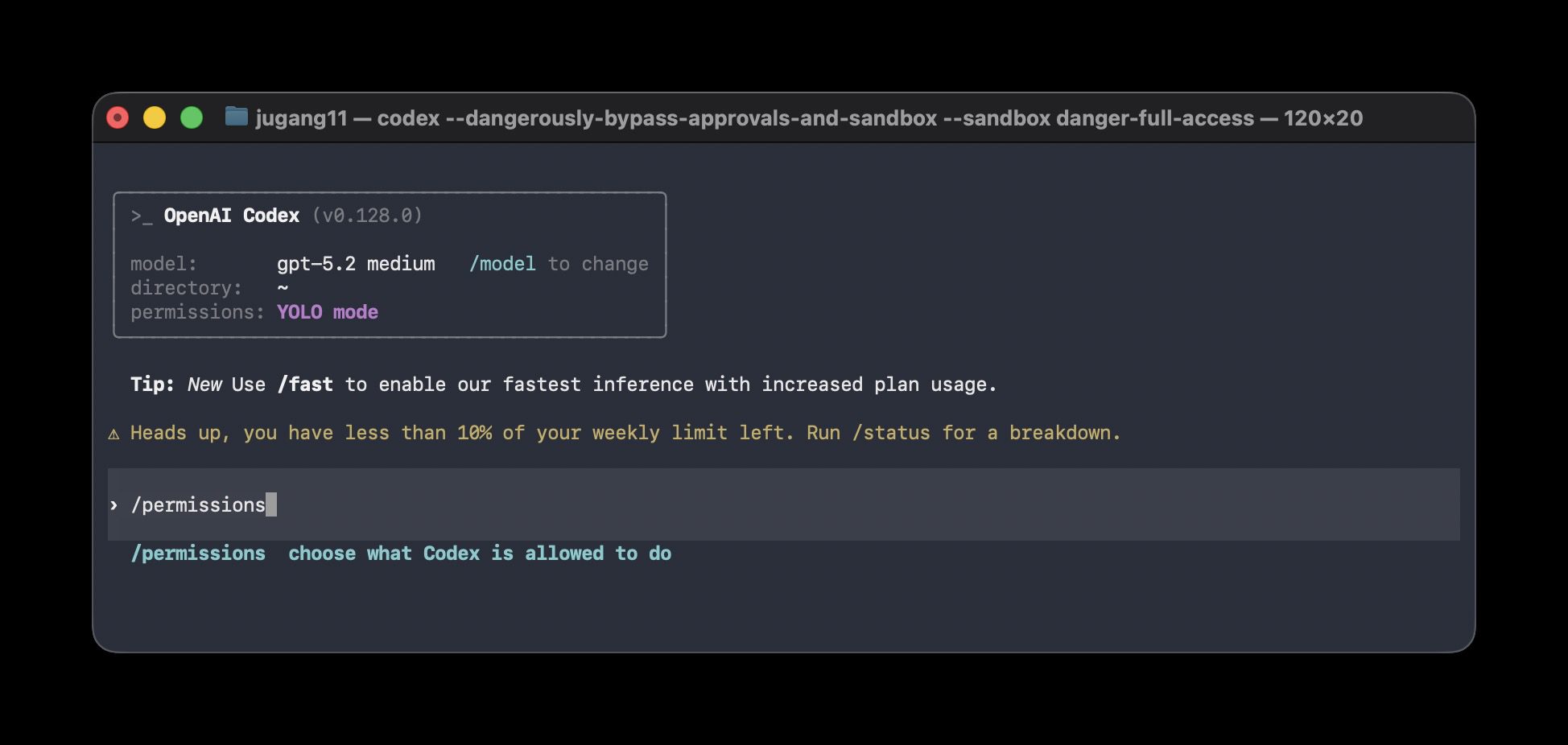 Codex CLI 終端機介面，--yolo 旗標 YOLO 模式權限全開設定